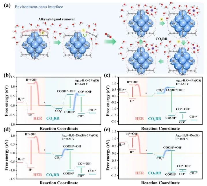 计算+实验！重庆大学JACS：揭示金属-配体界面电化学CO2RR机制