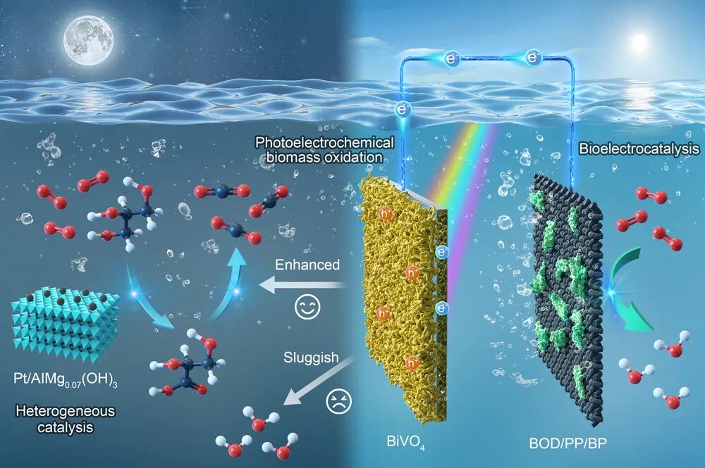 长春应化所董绍俊院士，最新JACS！