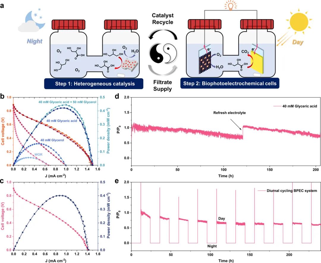 长春应化所董绍俊院士，最新JACS！