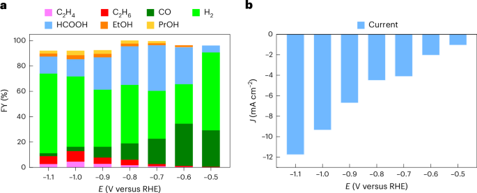 重磅！他，10年当选三院院士，最新Nature Catalysis！