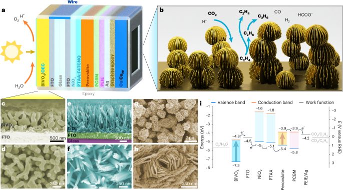 重磅！他，10年当选三院院士，最新Nature Catalysis！