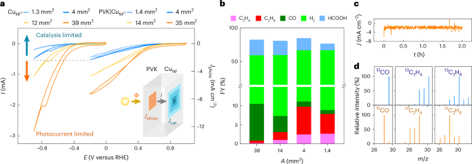 重磅！他，10年当选三院院士，最新Nature Catalysis！