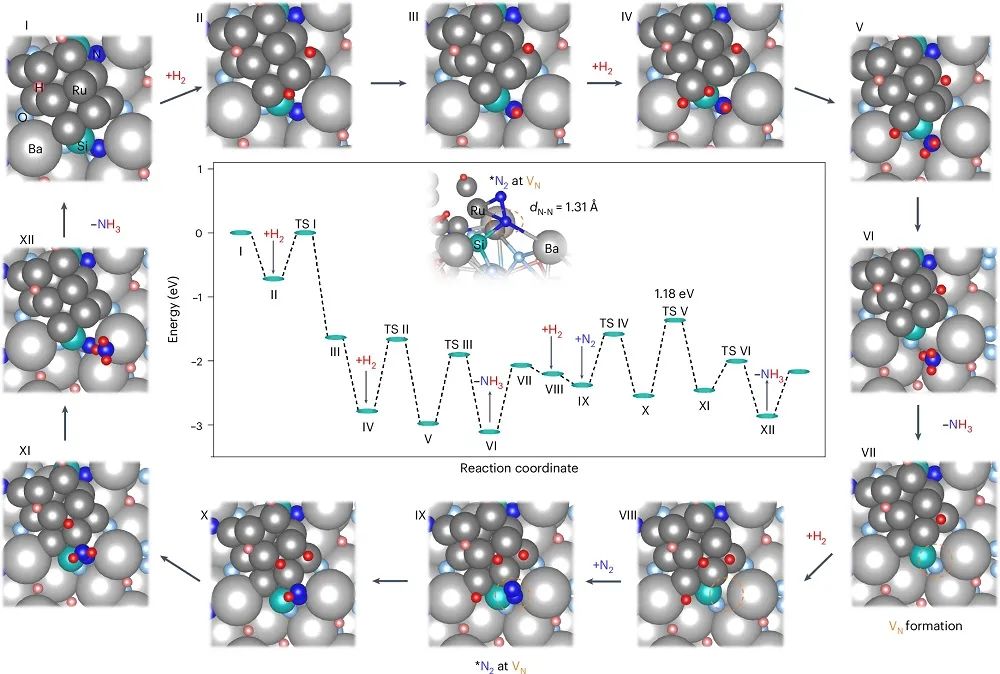 低温氨合成新突破！南京工业大学，第一单位发Nature Chemistry！