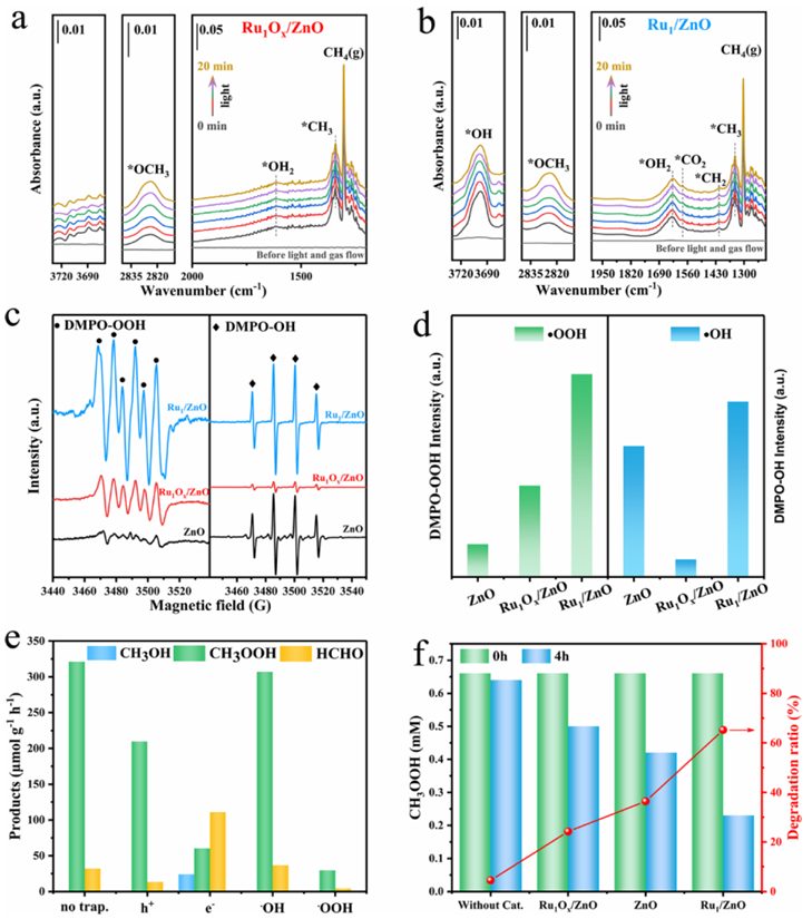 新型催化剂！浙江大学姚思宇，新发JACS！