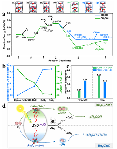 新型催化剂！浙江大学姚思宇，新发JACS！