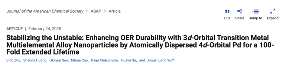 南洋理工大学吴冬霜教授JACS：原子分散Pd稳定多元合金纳米颗粒延长OER寿命100倍