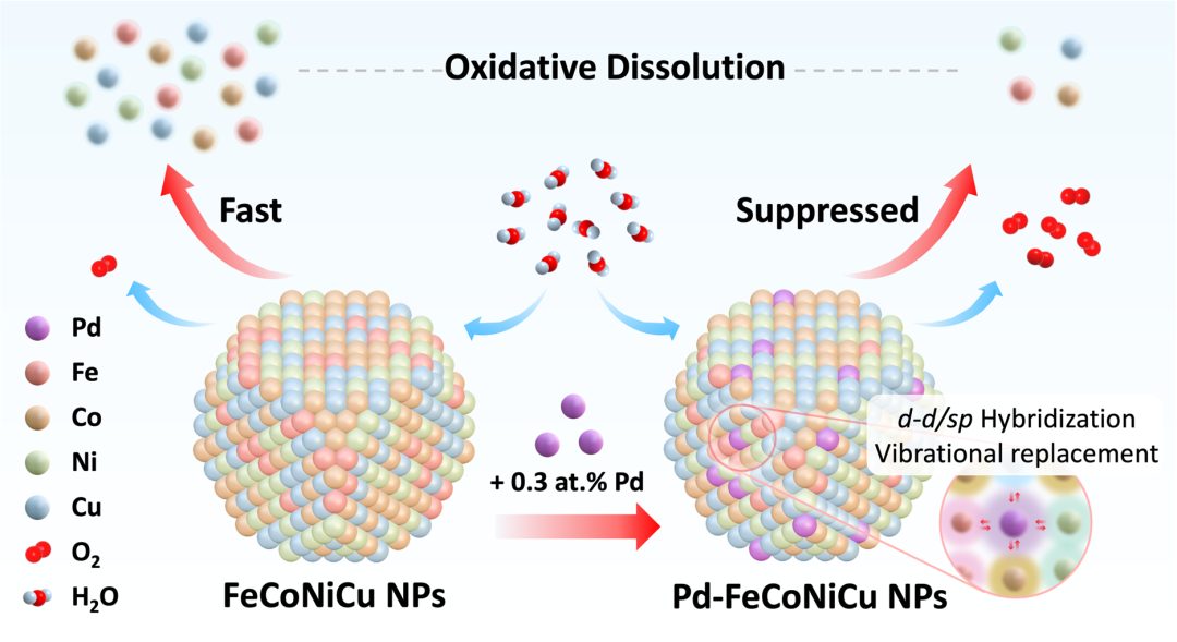 南洋理工大学吴冬霜教授JACS：原子分散Pd稳定多元合金纳米颗粒延长OER寿命100倍