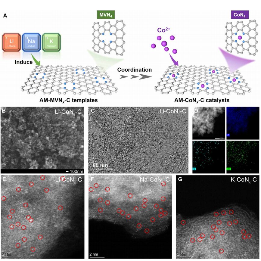 催化剂设计新突破！中科院山西煤化所，Science子刊！