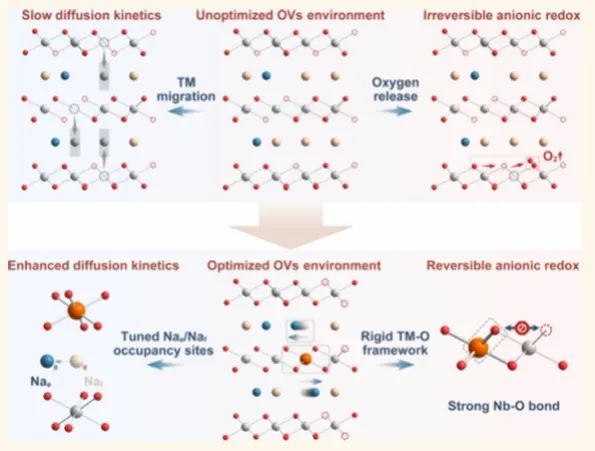 苏州大学张亮，ACS Nano：稳定氧空位化学助力高性能钠离子电池