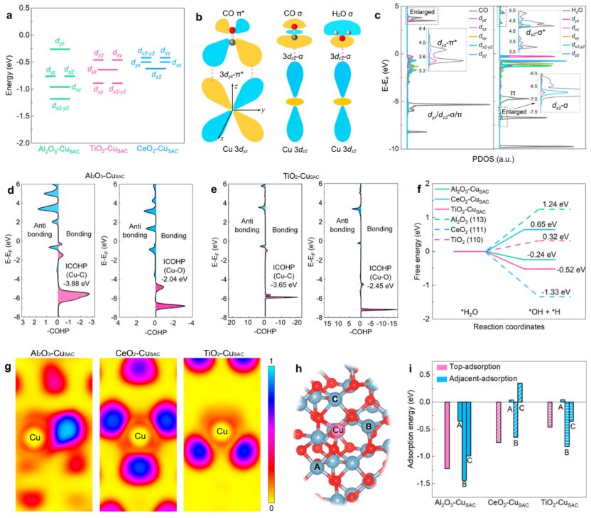 南开大学&天津大学&温州大学，新发Nature子刊！