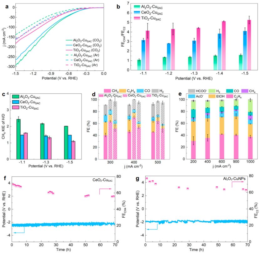 南开大学&天津大学&温州大学，新发Nature子刊！