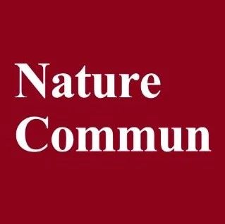他，上海交大「青年长江」，联合杭高院「国家优青」，新发Nature子刊！
