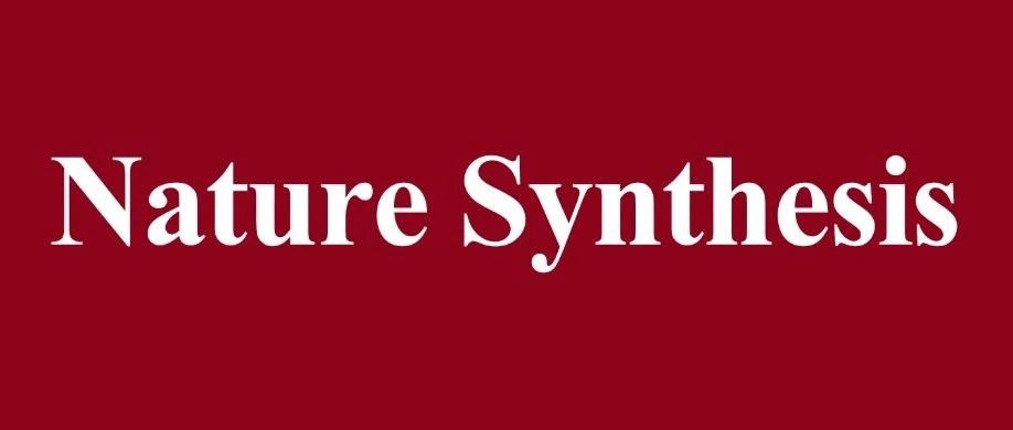 上交大&天津大学&宁德时代&阿贡实验室，联手发表Nature Synthesis！