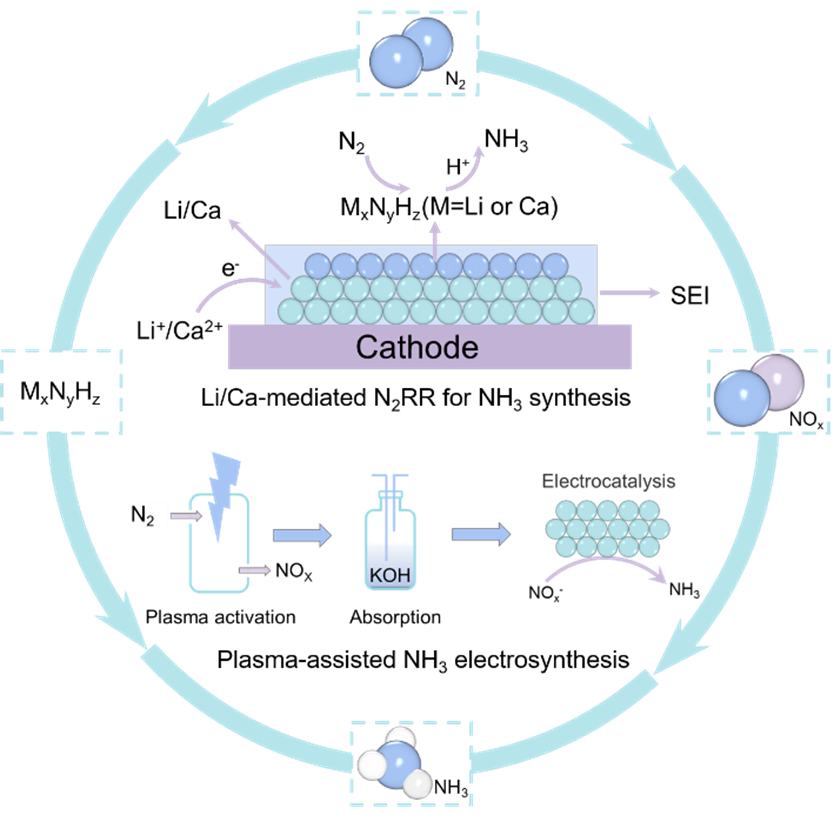 西华-江明航副教授&南大-金钟教授，Chem：综述电化学合成氨中有效的氮气活化策略