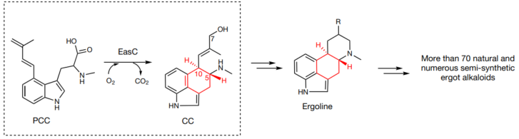 创造校史！杭州师范大学郭瑞庭，重磅Nature！