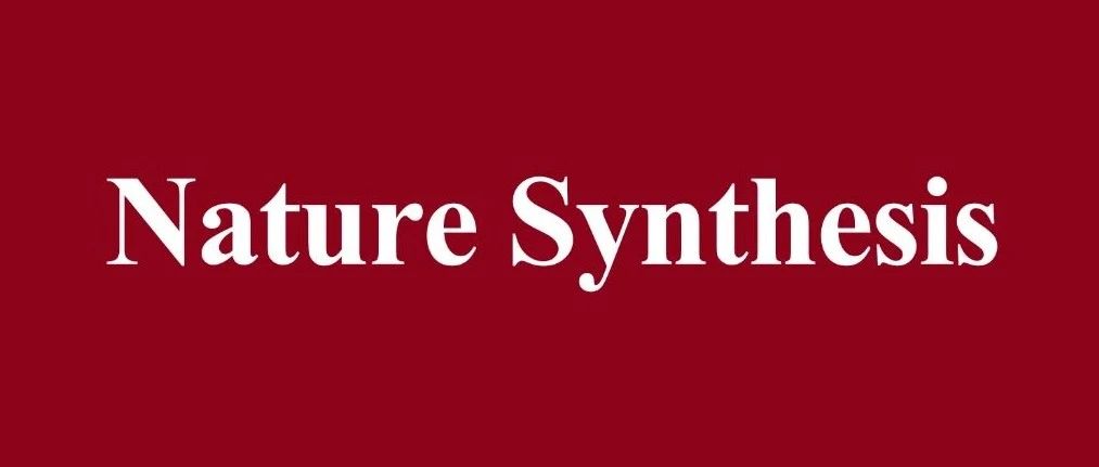 硕士生一作！上海交通大学张礼知，Nature Synthesis！