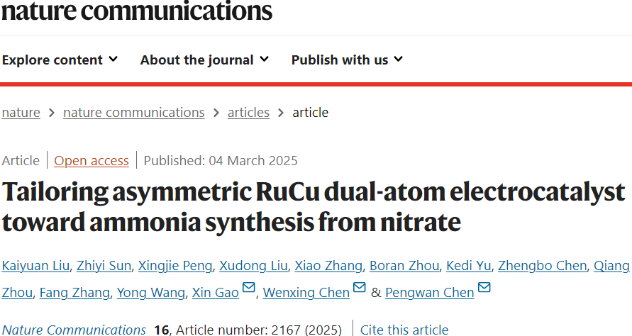 “闪电”合成黑科技：北理工团队打造高效氨合成的秘密武器！新发Nature子刊！