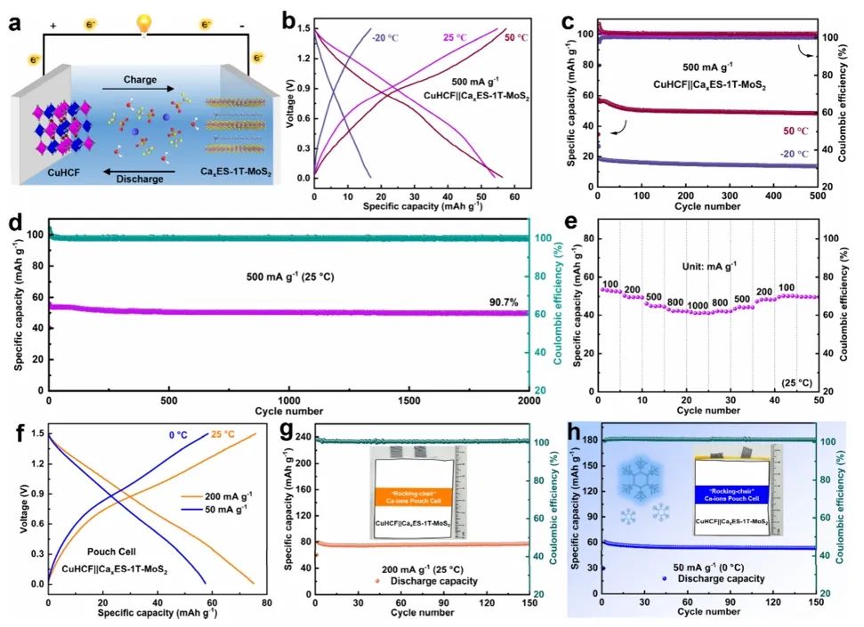 2000次，90.7%；-20至50 °C！武汉理工大学&桂林理工大学，ACS Nano！