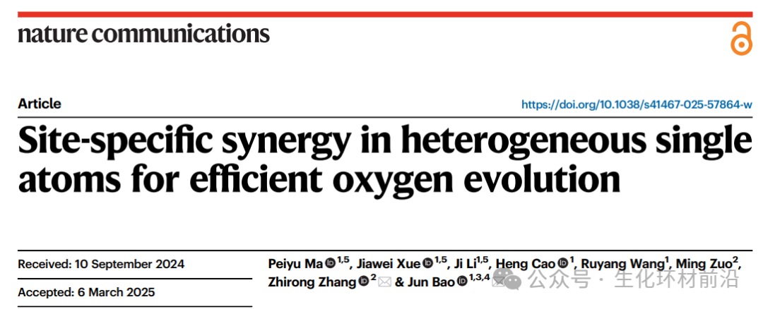 中科大鲍骏团队最新Nature子刊：异质单原子位点协同作用，实现高效析氧反应