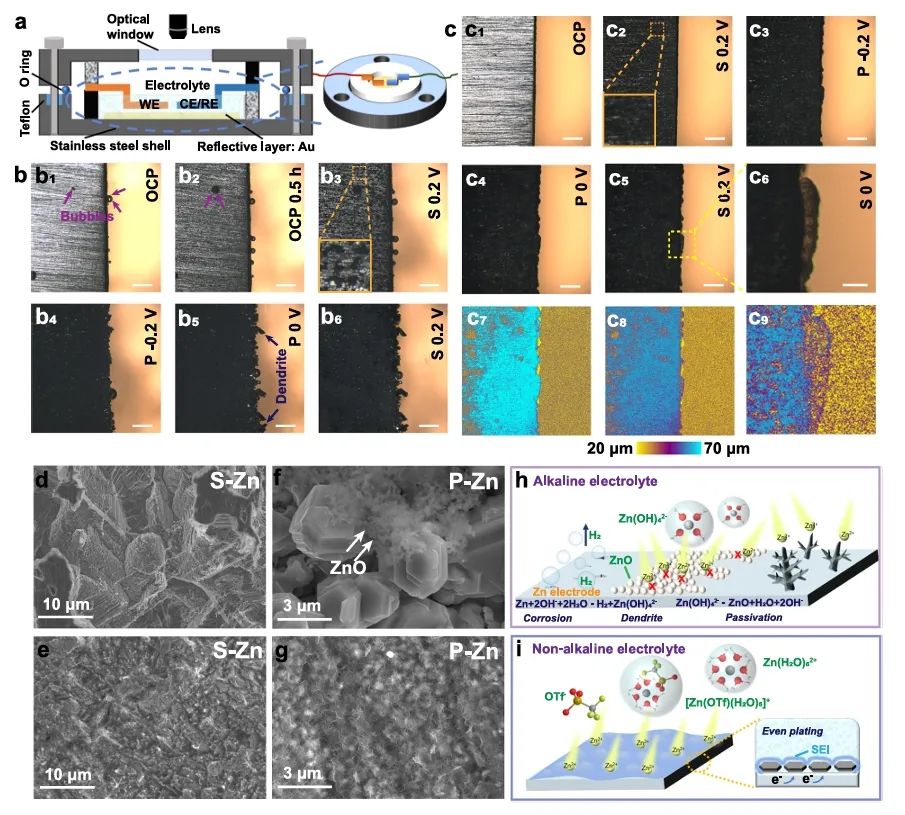 化学所文锐Nature子刊：碱性锌空气电池纳米级界面过程的原位可视化
