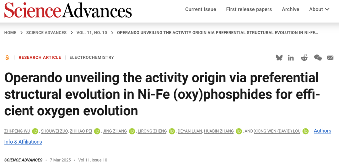 OER镍铁之争，谁更胜一筹？港城大楼雄文，今年已3篇Science/Cell子刊/2篇Angew！