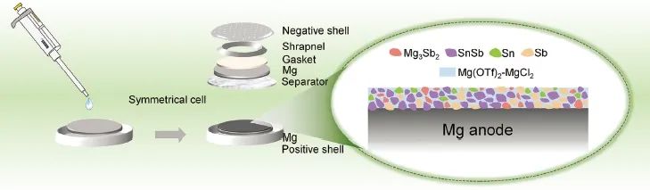仅为0.15 V！重庆大学袁媛，AFM：双功能协同Mg@SnSb SEI助力高性能镁电池