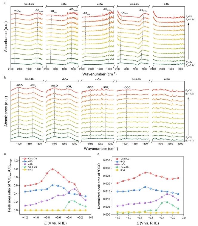 安徽大学李士阔/中科大高敏锐，最新Nature子刊！