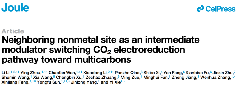 谢毅&孙永福Joule：非金属-金属双位点精准调控CO₂电还原路径