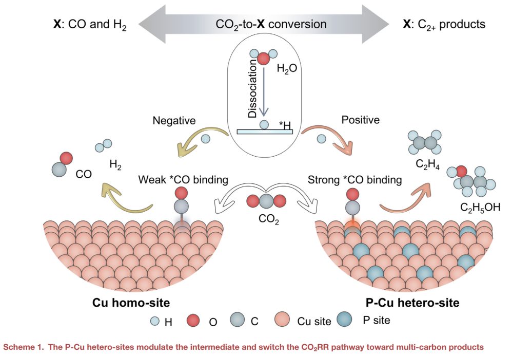 谢毅&孙永福Joule：非金属-金属双位点精准调控CO₂电还原路径
