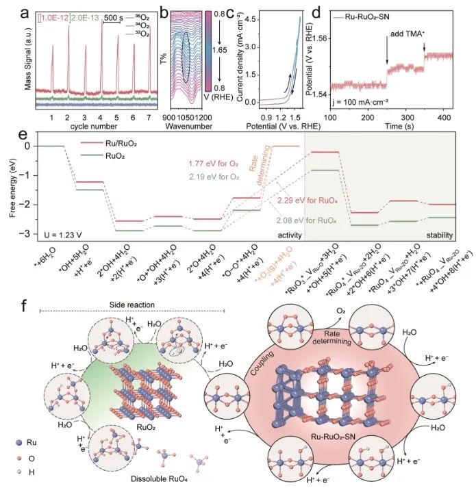 西湖大学张彪彪/王涛&浙江工业大学朱艺涵JACS | 构建亚4nm Ru-RuO2肖特基结，实现持久酸性水氧化