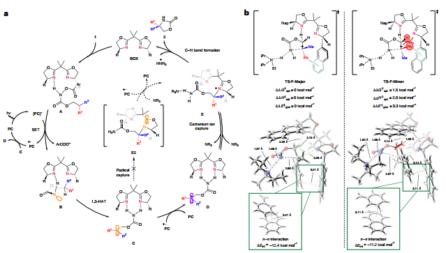 IF=42.1！浙大陆展/洪鑫，最新Nature Catalysis！