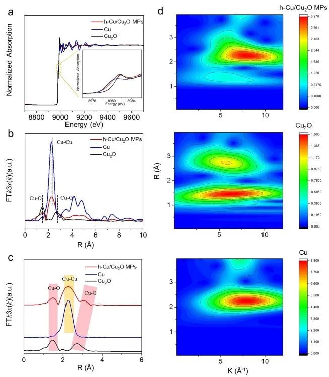 中国科学技术大学章根强Nature子刊：构建Cu/Cu2O异质界面，实现高效尿素电合成！