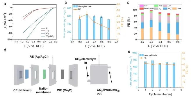 中国科学技术大学章根强Nature子刊：构建Cu/Cu2O异质界面，实现高效尿素电合成！