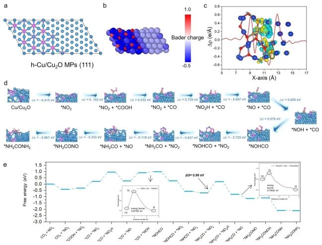 中国科学技术大学章根强Nature子刊：构建Cu/Cu2O异质界面，实现高效尿素电合成！