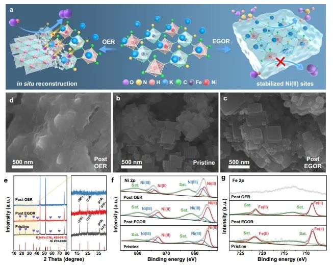 1000 mA cm-2！华东理工大学杨化桂/刘鹏飞/练成，新发Nature子刊