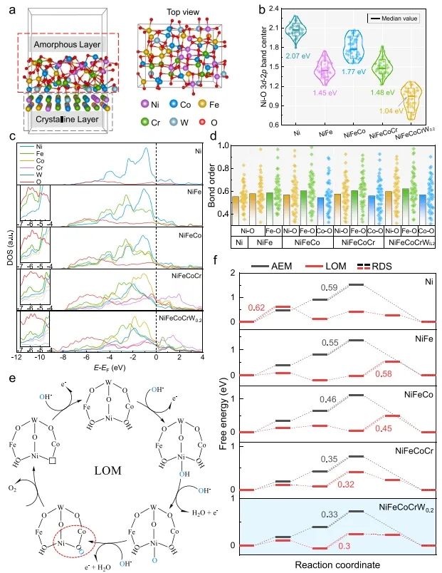 华中科技大学于海滨&湖北大学彭旭，Nature子刊！