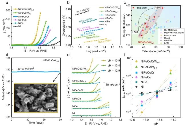 华中科技大学于海滨&湖北大学彭旭，Nature子刊！