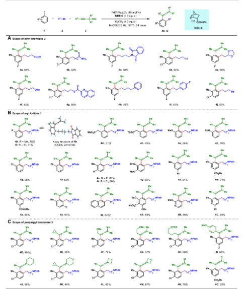 首次实现！武汉大学程鸿刚/周强辉，再发Science子刊！