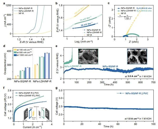天津大学张兵、中国石油大学(华东)董斌/柴永明，Nature子刊！