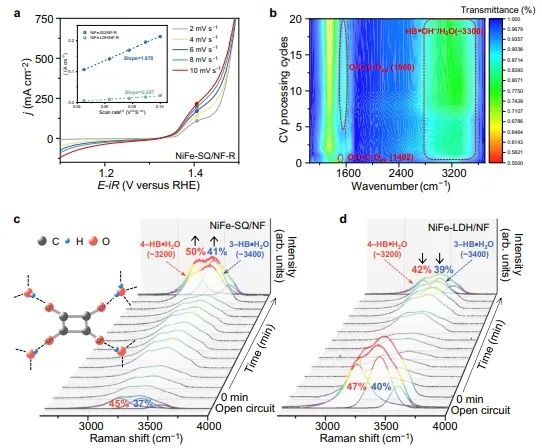 天津大学张兵、中国石油大学(华东)董斌/柴永明，Nature子刊！