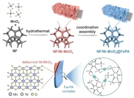 中山大学ACS Catal.: Fe-PA修饰Ni-MnO2，实现大电流下持久海水氧化
