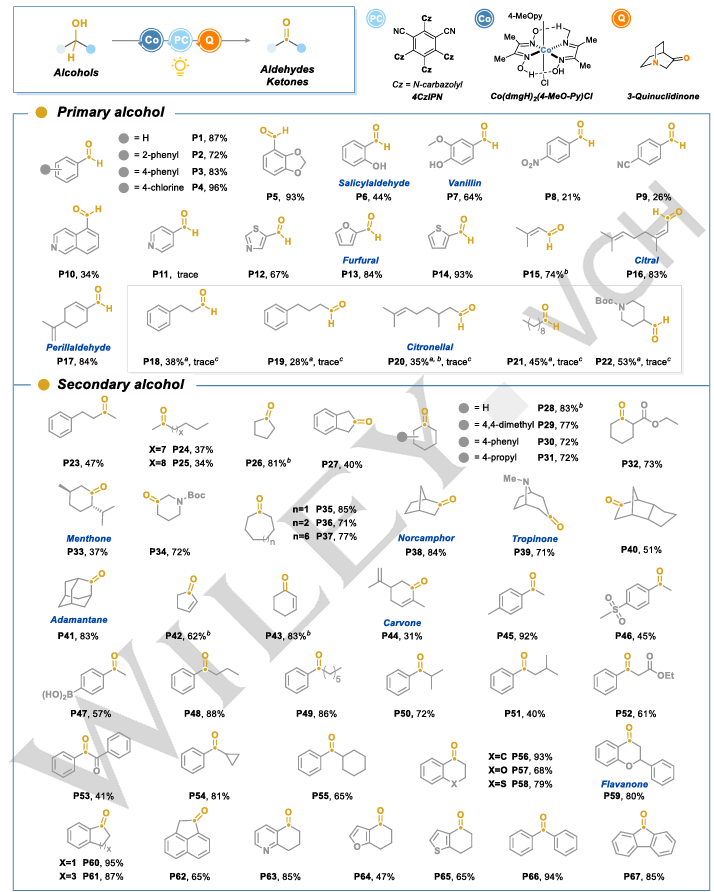 弱键催化！浙江工业大学，最新Angew！|氢键驱动的α-C(sp3)-H选择性激活：一种直接的双催化策略用于高效无受体脱氢反应