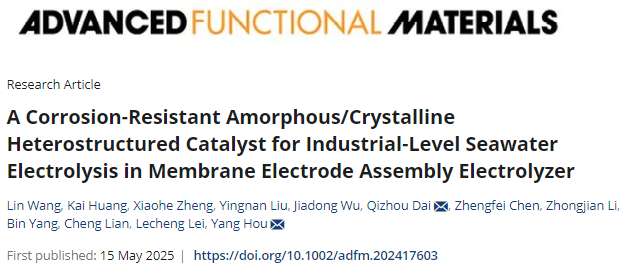 500 mA cm-2！浙江大学侯阳/浙江工业大学戴启洲，新发AFM！