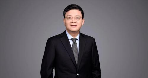 赵天寿院士领衔！港科大AM：三氟甲苯基化离子液体用于高压锂金属电池