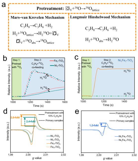 超1000小时！北京交通大学王熙，最新Nature子刊！