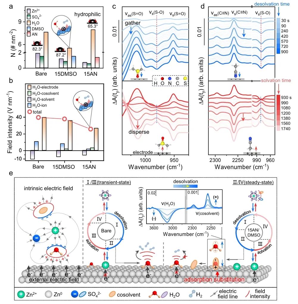 博士生一作！厦门大学乔羽/华科冯光，最新Nature子刊！