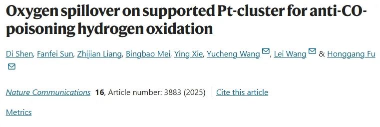 黑龙江大学付宏刚/王蕾&厦门大学王宇成，最新Nature子刊！