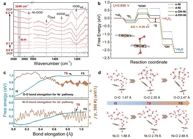 天津大学Nature子刊：内部氢键起大作用，增强Ni-BTA电化学合成H2O2活性
