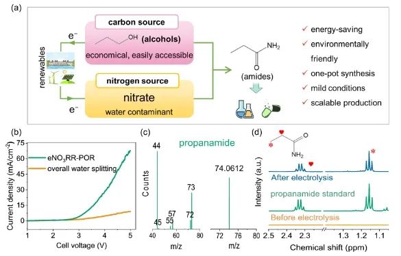 大连理工「国家杰青」陆安慧团队，最新JACS！