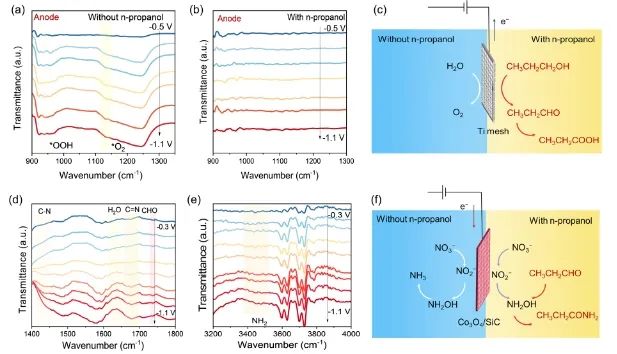 大连理工「国家杰青」陆安慧团队，最新JACS！